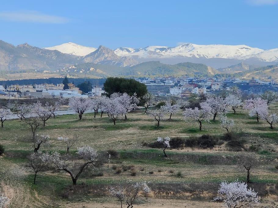 Villa Terracota, Lujo En Granada Y Sierra Nevada מראה חיצוני תמונה
